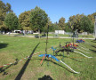 210920247 strelicarstvo sl5