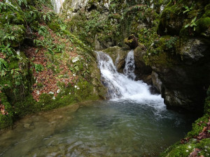 DSC08232